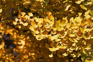 5C0EEE23-452B-4E88-90AB-EEE946F6F64F/L0/001