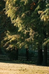 E7399BB0-4885-4295-8DA7-A9805BD10C56/L0/001