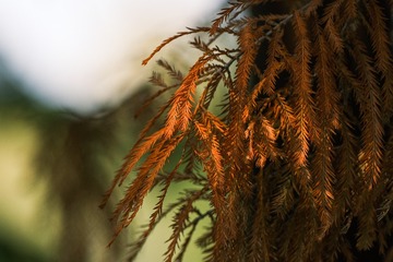 F24E0EED-D4F9-451E-AA76-B4EE80332D17/L0/001