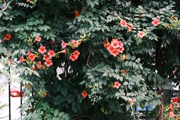 022AF026-B0D2-41CD-8B95-35D3E13D45A2/L0/001