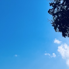 92573A4E-38ED-421A-903A-D341B2CAFD09/L0/001