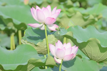 13A691DB-36AE-4CFE-9F81-208544AB8C0F/L0/001