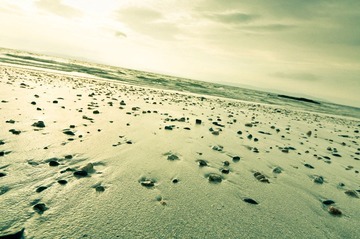 20111113-DSC_3262.jpg