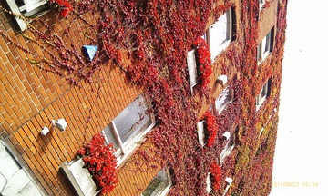 2011-08-23 14.54.58.jpg