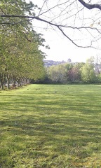 2012-05-02 18.23.59.jpg
