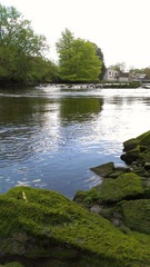 2012-05-12 14.41.26.jpg
