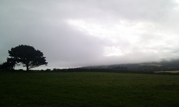 2012-08-08 16.31.49.jpg