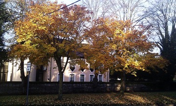 2012-10-20 08.49.34.jpg