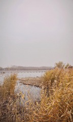 29344780-FE6A-48F0-B671-93C395FEB1EF/L0/001