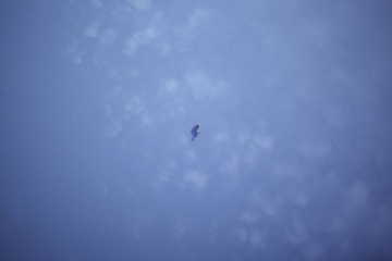 _MG_4996 副本.jpg