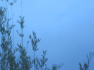 A8BCE0FA-D86A-47A3-A140-65650F3630EA/L0/001