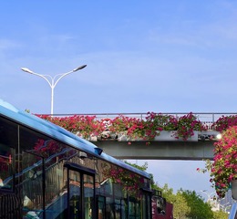 D0EA97CA-4757-4DA0-B8A8-B6C1243ED368/L0/001