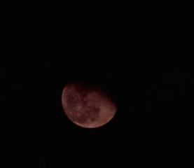 292924A2-6741-497D-80E0-AD568F9B76F8/L0/001