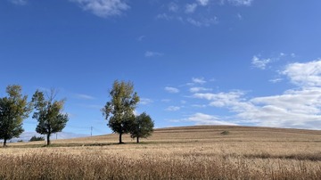 AE094473-FC34-47E5-A46D-D9A8AE539BE3/L0/001