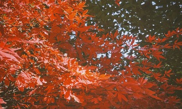 45889B89-8002-467A-B1A9-FE55CA7DE0BC/L0/001
