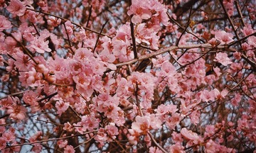 63BD863B-FBEA-40AC-BBF0-B74018C1792F/L0/001