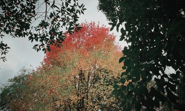 6E90B4B0-CDDD-41AF-88A6-1A11EDE00BDE/L0/001