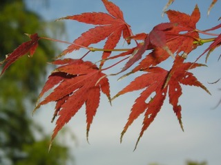 9C3D2901-B9AE-49D2-AC5B-B10290B3F534/L0/001