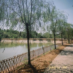 9C3F055C-128B-4BD6-ABF9-4477A0978339/L0/001
