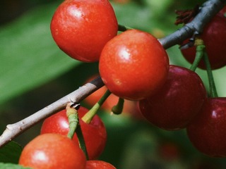 E9B1F7F3-DC46-41EC-A0F0-0C74CCB0B05F/L0/001