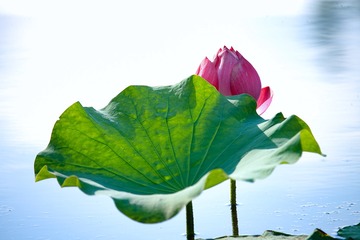 93C95E44-39DF-49F6-8BF3-A500CA80A4B0/L0/001