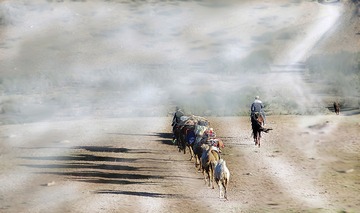 7DCF9A09-1E07-4D84-A3EE-DE92C9BBEF47/L0/001