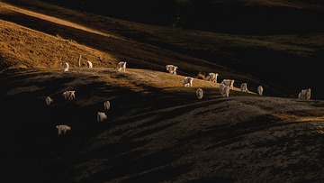 D3748EE3-5EF7-4705-8690-B587AB384546/L0/001