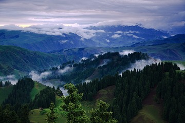 F03D7B56-5AF2-4EA4-A802-1DF2E1CCEF35/L0/001