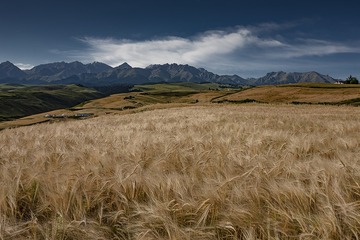 83B6BEB5-2FF9-4E6D-979A-7712984B00DE/L0/001
