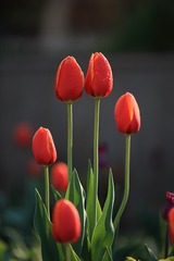 050A90CB-04DA-41DA-AEEA-21CCD298A9F3/L0/001
