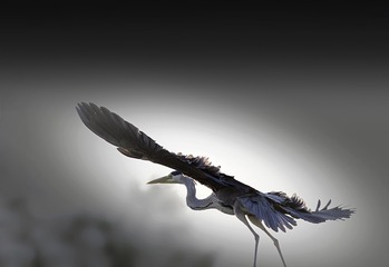 E5BDCF72-12EB-4035-858F-50F00E20A986/L0/001