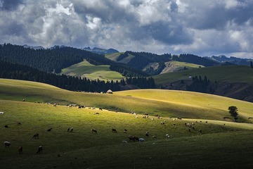 E2D264DF-A3A0-4816-9CB6-5CCE093899E1/L0/001