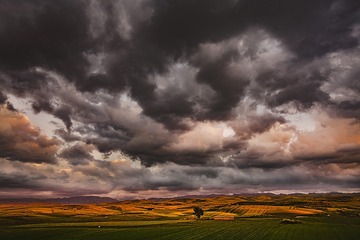 D0893684-B9EE-4B75-82FC-511C9BD55CBE/L0/001