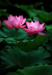 3C003FD2-719D-4E82-AE6E-A1DF586B9CF4/L0/001