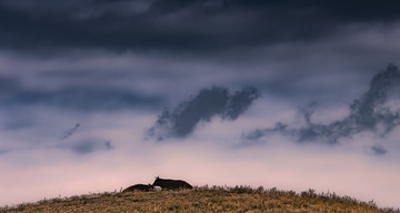 A1B1C390-3A5D-4177-AF92-48148F4F2CD4/L0/001