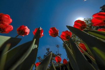 05F477C0-7CAD-42E4-BE02-FB2F9476DB57/L0/001