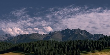 20C67F33-F861-48ED-BC74-7960F5A25409/L0/001