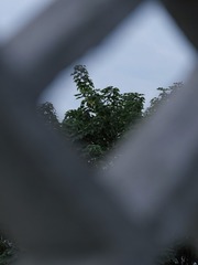 70208D7A-4D7B-4175-838A-17B97010E8B5/L0/001