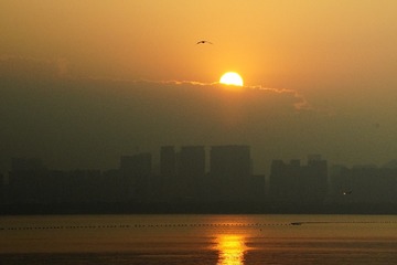 6314D3AE-9042-41F5-B81E-171F6F5570F2/L0/001