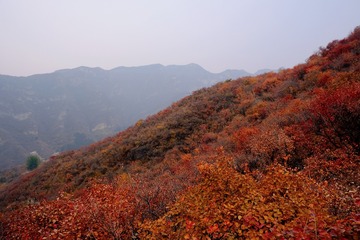 5FF23E73-68E0-4979-9EE5-55EBB705CEC7/L0/001