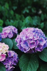 F3E12825-93DB-4F3E-A12E-FF526672F030/L0/001
