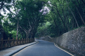 D052D186-3D90-4E40-8AA4-F1EC94F08768/L0/001