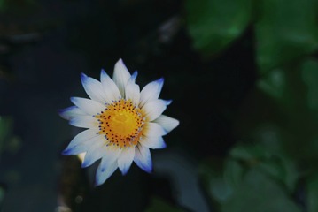 D7CF6F62-8354-4C65-916A-0CFF5BBBE8E4/L0/001