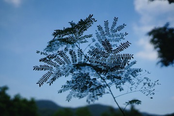 D0AC433E-8350-4933-9B04-34045A542CBE/L0/001