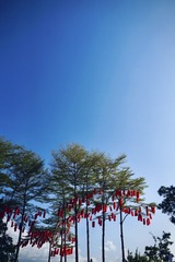 4C065A86-BDFA-42B7-A4BD-57C05A5BAC61/L0/001