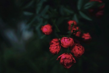 0229F5E6-10F0-46CA-887E-67CE1661F98B/L0/001