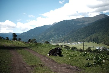 A3C656C1-70D3-48B9-A915-42FE6D455F3F/L0/001