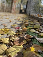 D3733D90-DB06-44AD-B7F7-C94AC92C128B/L0/001