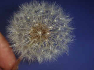 239B2489-A8C6-463C-B130-6FA586CDBAF2/L0/001