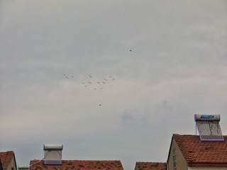 1000003836